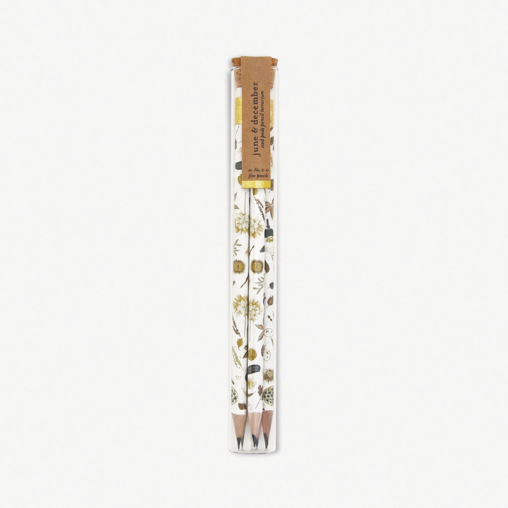 Seed Pods Pencil Terrarium