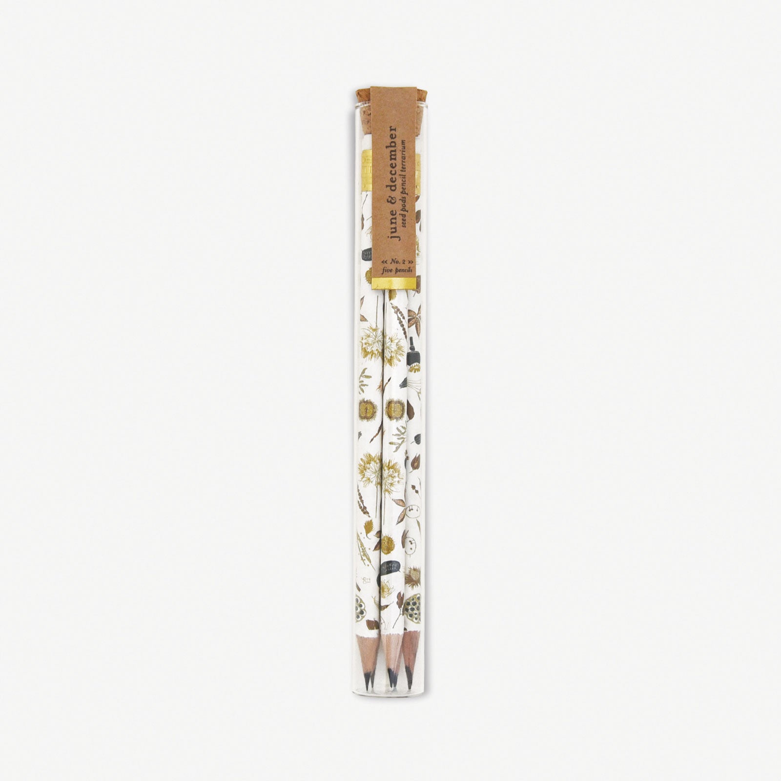 Seed Pods Pencil Terrarium