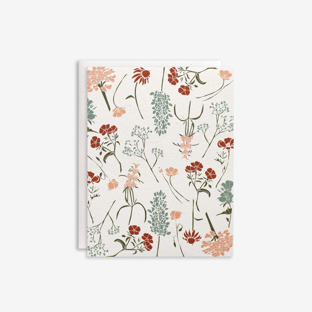 Wildflowers by Region Box Set