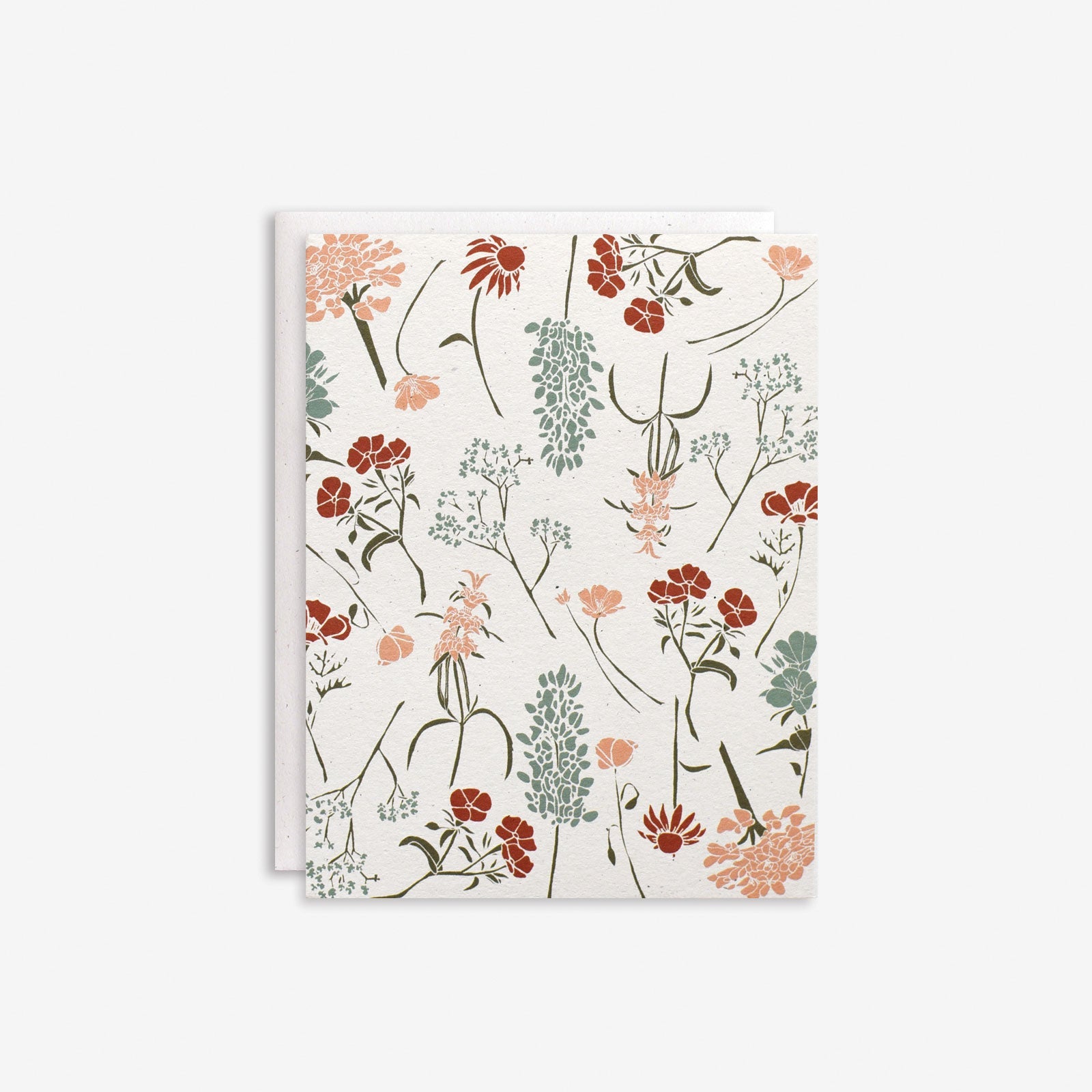 Wildflowers by Region Box Set