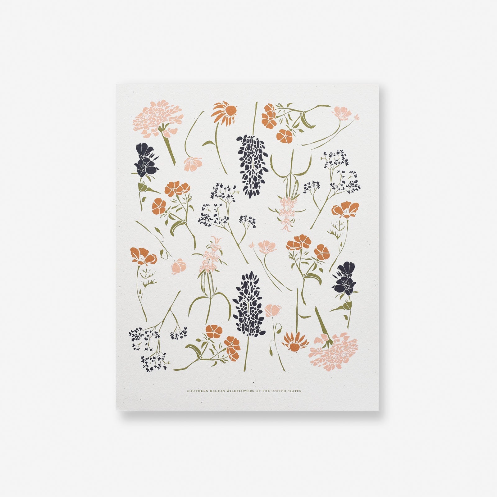 Southern Wildflowers Art Print