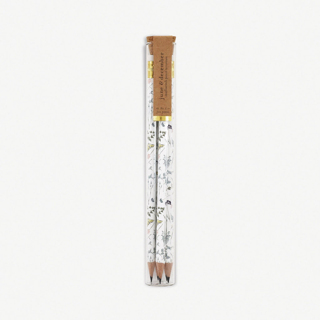 Swallowtails Pencil Terrarium