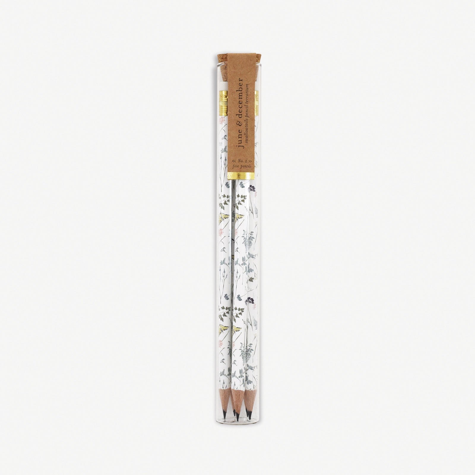 Swallowtails Pencil Terrarium