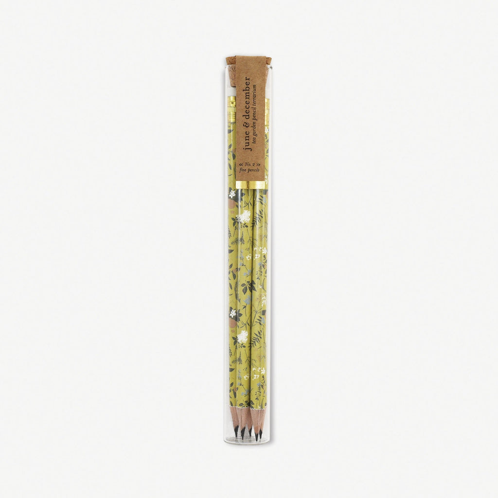 Tea Garden Pencil Terrarium