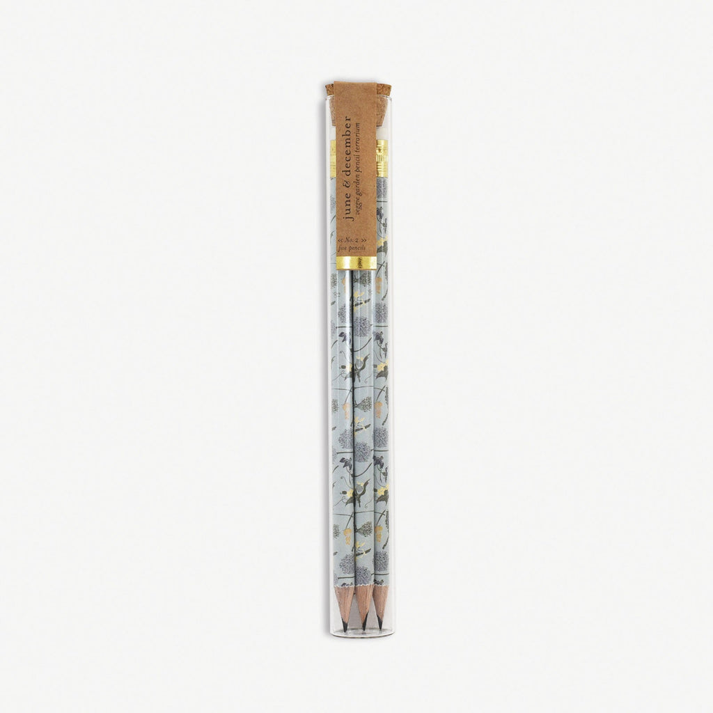 Veggie Garden Pencil Terrarium