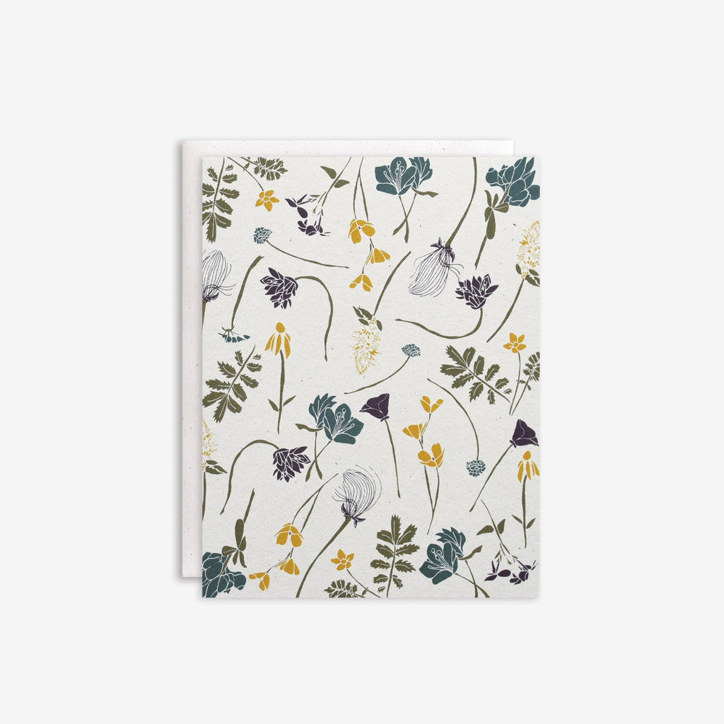 Wildflowers by Region Box Set