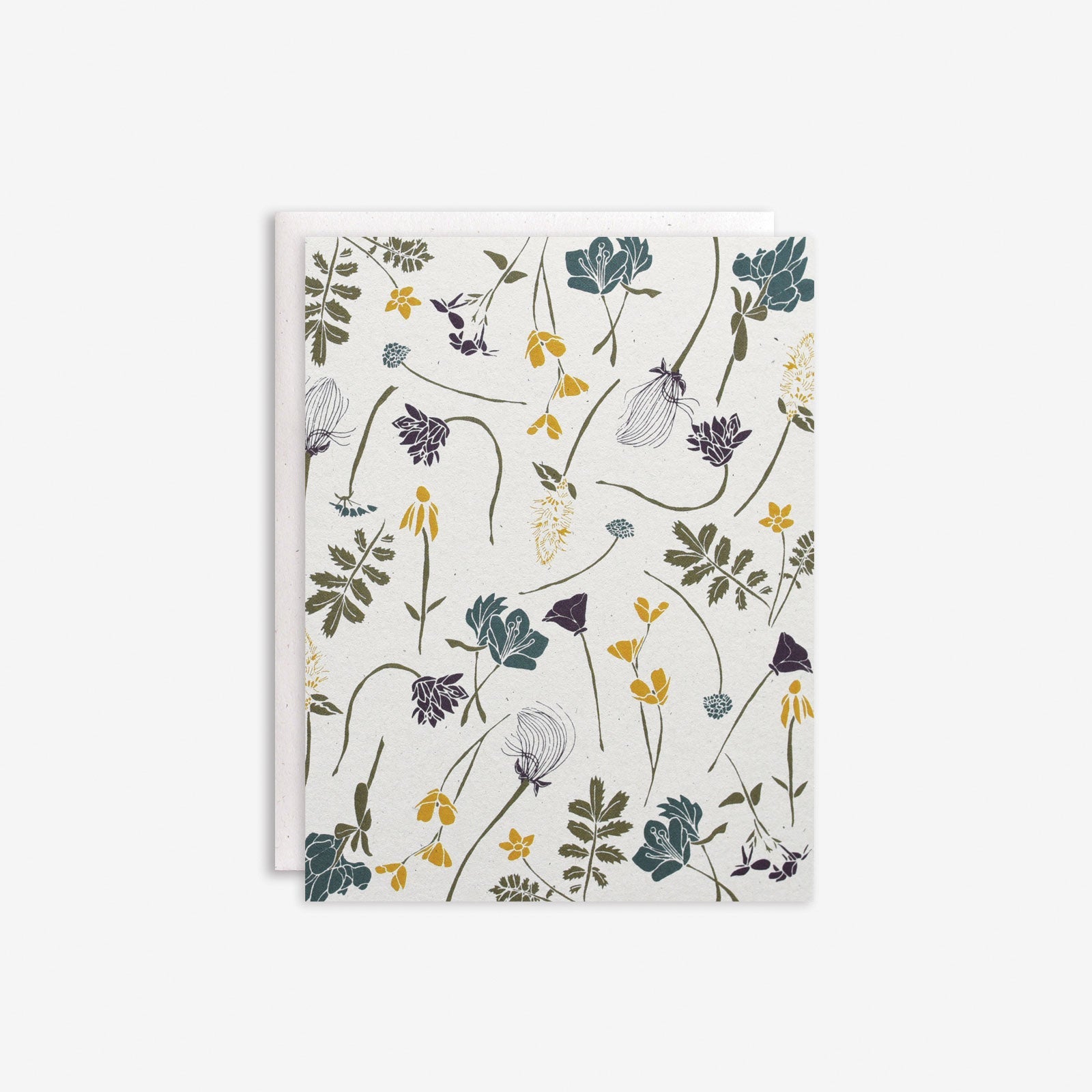 Wildflowers by Region Box Set