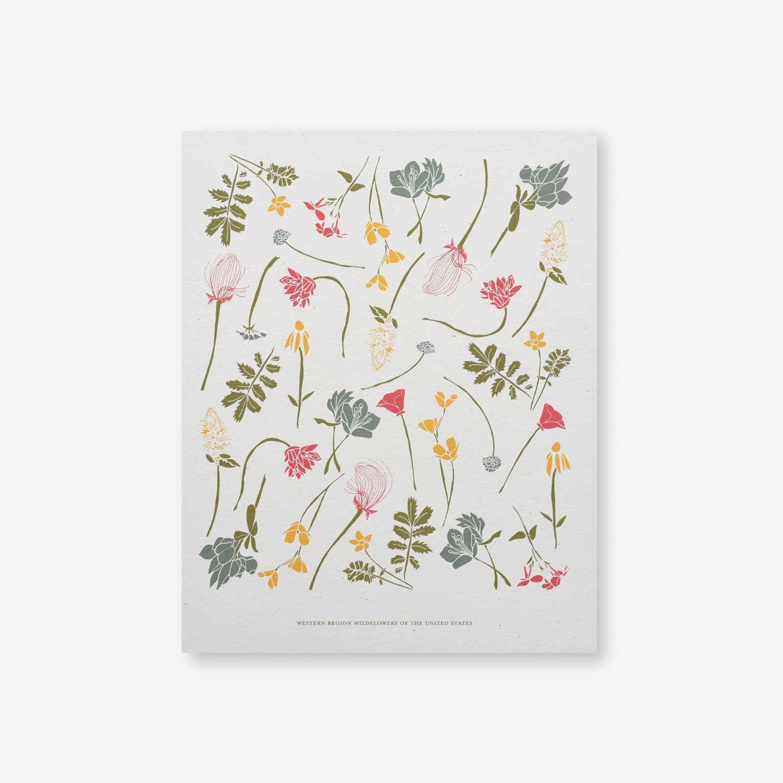 Western Wildflowers Art Print (8x10)