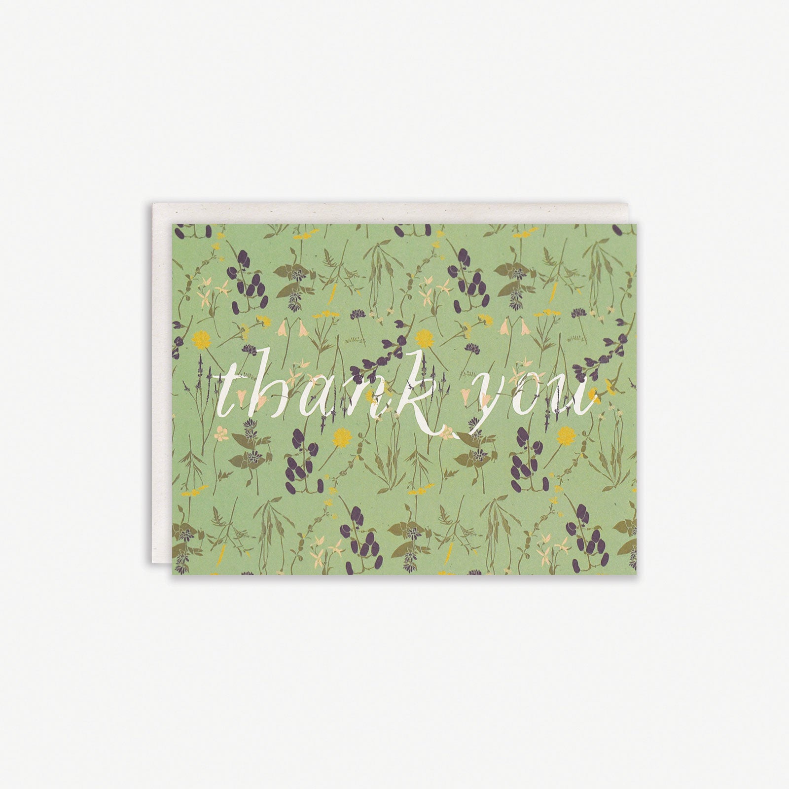 Wild Thank You Boxed Set