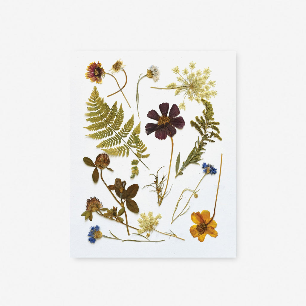 Pressed Wildflowers Art Print